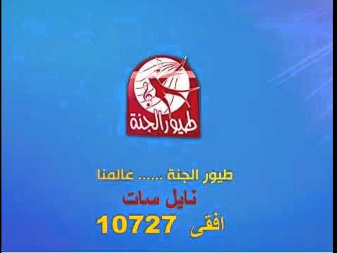 تردد قناة طيور الجنة 2020 نايل سات - اتفرج على اول قنوان من الاطفال وللاطفال Hqdefault