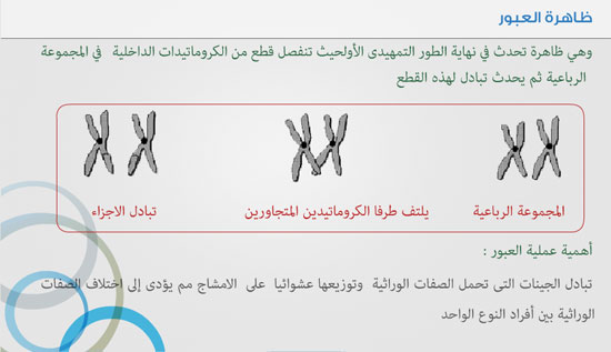 مراحل الانقسام الميوزي في الجسم - كل تفصيله عن الانقسام الميوزي 20160715 1631