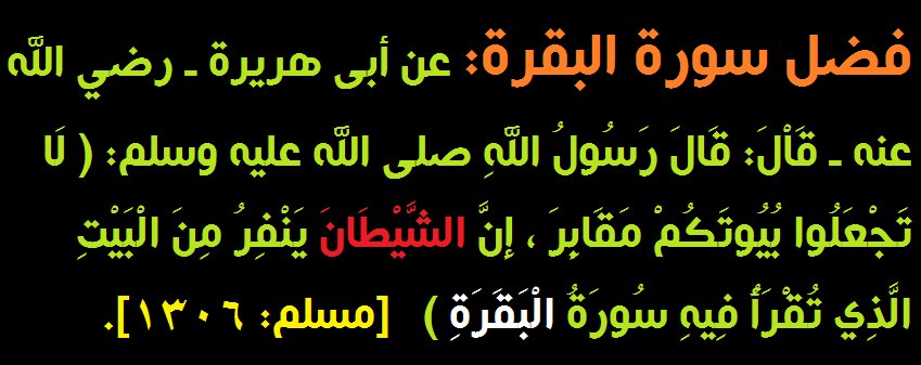 فوائد عظيمه لسورة البقرة - انت مش عارف ممكن يحصلك اية لما تقرا سورة البقرة 8724477Ee503B27F834F3468238B1Dd0