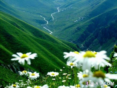 صور وخلفيات روعة للطبيعة - عشاق الجمال الطبيعي والخلفيات البسيطة سينال ذلك اعجابكم بشدة 20160724 472