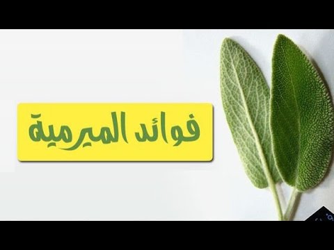 فوائد عشبة المراميه للحمل 20160629 2870