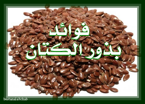 ما فوائد بذر الكتان 44