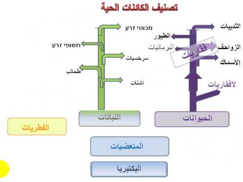 علم تصنيف الكائنات الحية - تعرف على علم الاحياء وغموضه 20160622 140