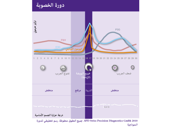 ماهي ايام التي يحدث فيها الحمل 20160718 258