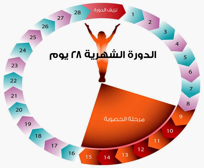 ايام التبويض بعد الدورة بكم يوم M3N4Net 102408 2