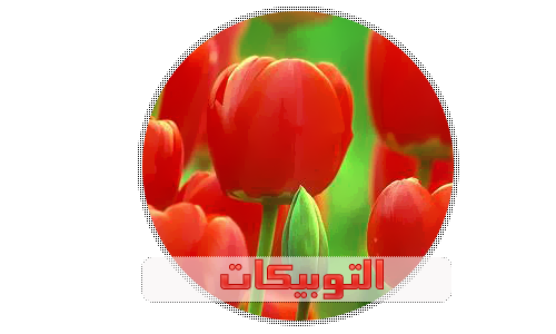 توبيكات متنوعة مكتوبة 2020 - اسبق صحابك باجدد التوبيكات الروعه 2015 1402009680 512