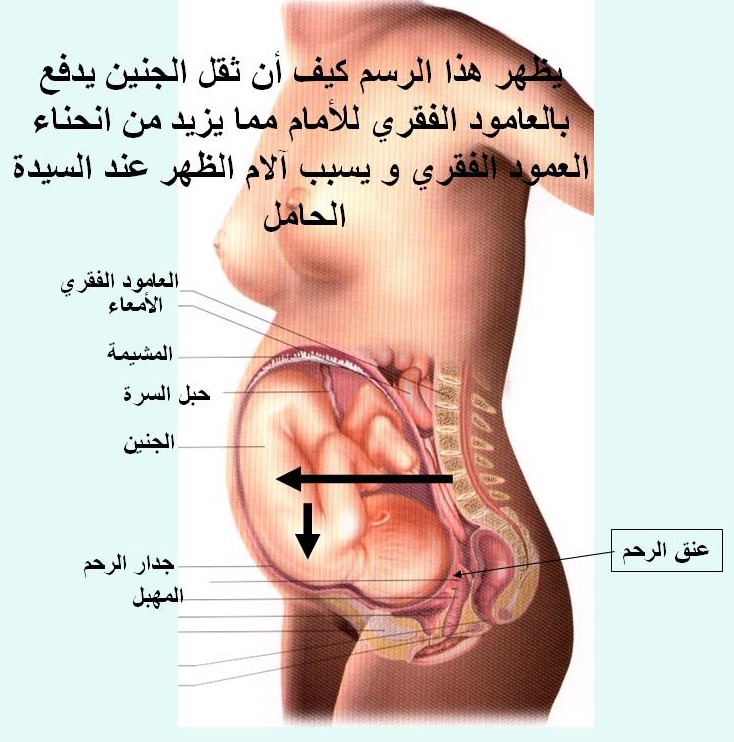 الحمل في الشهر السابع بولد 20160621 454