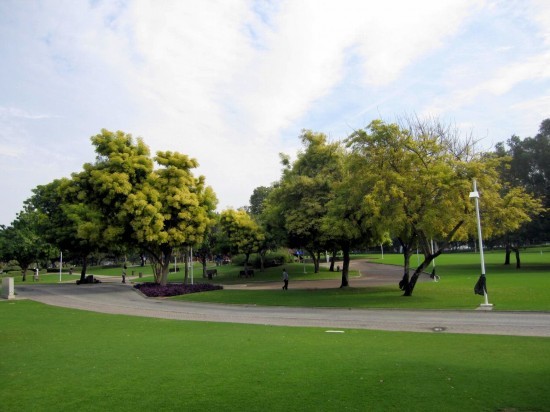 حديقة الخور فى دبى - ما هي مواعيد حديقة الخور في دبي Dubai Creek Park United Arab Emirates 2