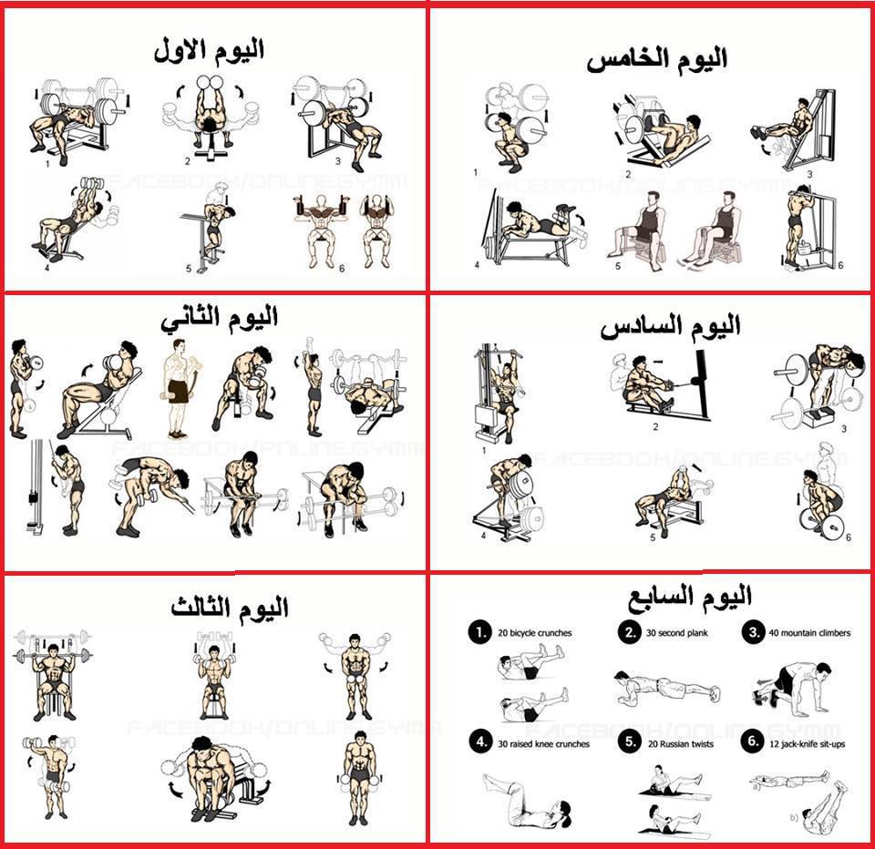 تمارين كمال الاجسام للمبتدئين 915796677