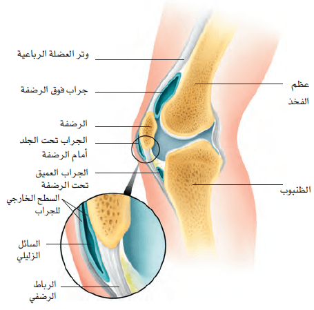 علاج الم و وجع الركبة - حل بسيط هيقضي على الم ركبتك ف ثانية 20160715 134