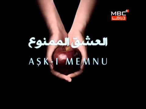 كلمات قصيدة العشق الممنوع - عاشقة تتالم بعد سنه من الحب 20160726 340