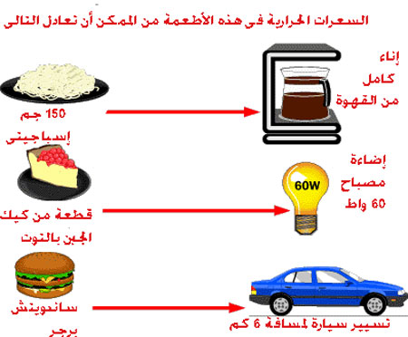 عدد السعرات الحرارية لانقاص الوزن 20160626 1676