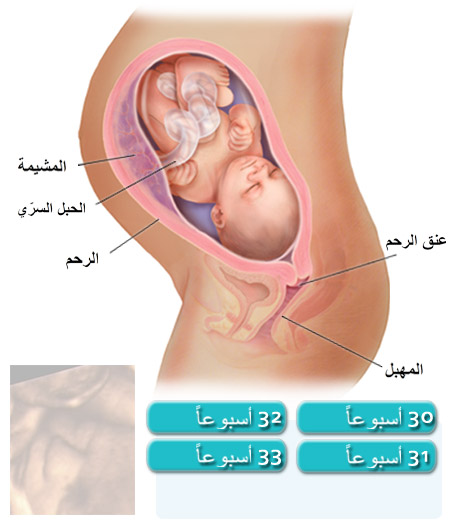 الحمل في الشهر السابع بولد 20160621 453