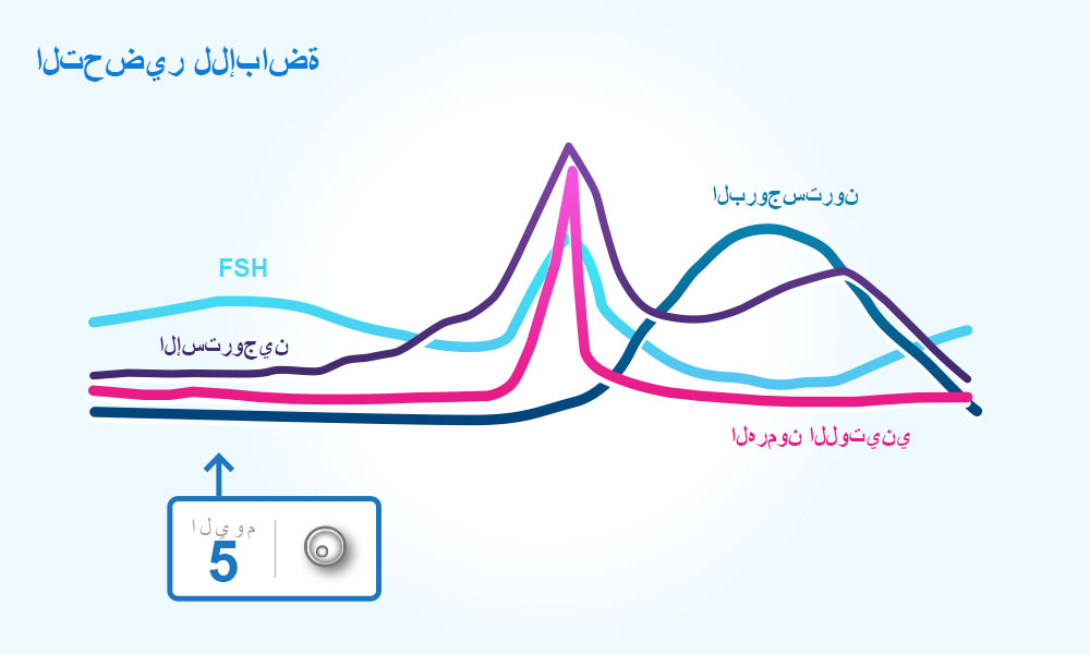 كم تعيش البويضة بعد خروجها من المبيض 20160617 657