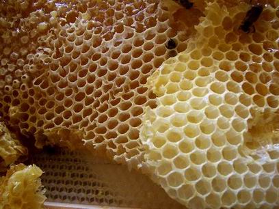 خلة وشي ينور من البياض واللمعان - فائدة شمع العسل Honey Comb