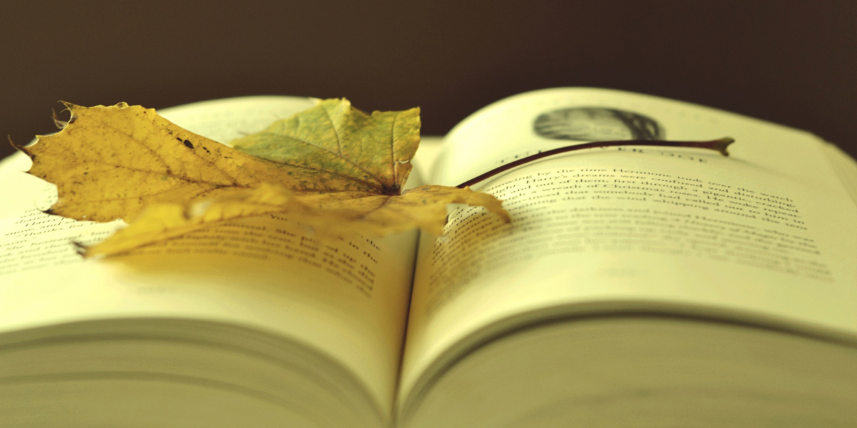 روايه بسمه وخالد Leaf On A Book Twitter Header 8149