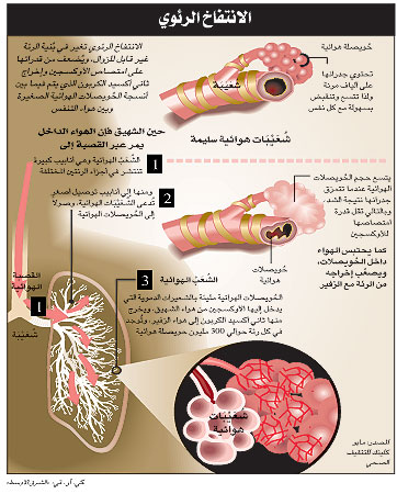 ما اسباب تجمع الماء على الرئة - علاج حالات ياس منها الطب 20160630 1990