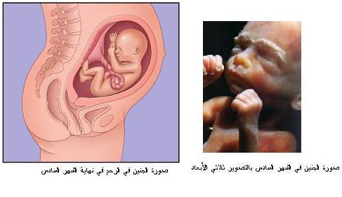 حركة الجنين في اسفل الرحم