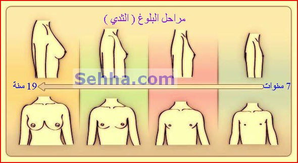 اهم مظاهر البلوغ للفتيات Puberty10