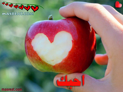 رسالة طويلة لحبيبي الغالي - صور وكلمات حب ابعتها مسج للى بتحبه Strong Love Messages