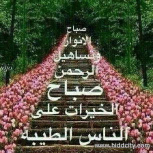 صور بطاقات صباح الانوار 20160628 394