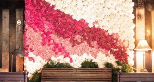 وطبيعته ورود منظر صور رائع تعطي الورد الجذابة التي اجمل 2023 1427373762 floral backdrops 18 310x165