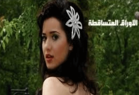 ييييس ولاقيت قصة المسلسل كامل , قصة مسلسل الاوراق المتساقطة بالكامل