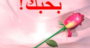 يا مميزة للفنان حسين الناس الجميل الجسمي اغنية اعز احبك i love10 310x165