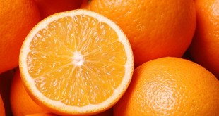يخسسني والرشاقة مكنتش مفيدة متخيلة للرجيم كدة فواكه فوائد البرتقال أنه رجيم البرتقال 310x165