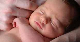 مهدئ للرضع للاطفال فوايد طبيعي اهم الشمر For breastfeeding .. Eat your baby fennel to reduce greenhouse gas 310x165