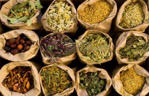 Herbs 2 فوائد الاعشاب الطبية للجسم - اعشاب مميزة جدا و مفيدة صحيا عتاب الزمن