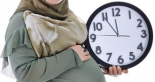 للحامل في الصحي الشهر الثامن الاكل الشهر الثامن من الحمل1 310x165