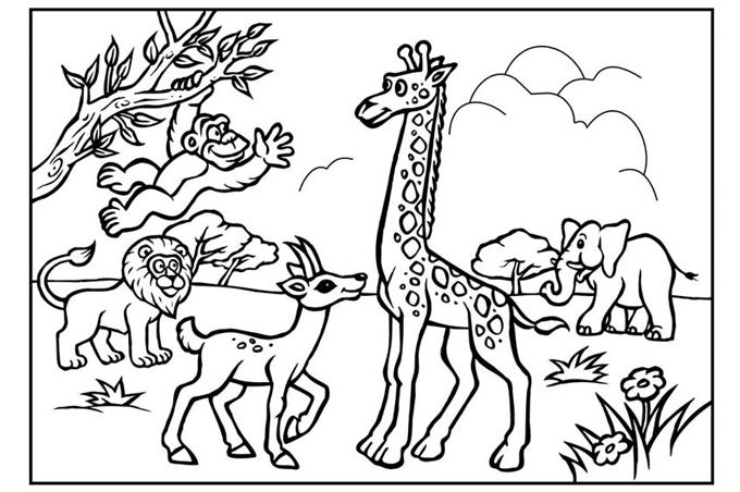 مجموعة لبعض حيوانات الغابة في صورة واحدة لتعليم الاطفال التلوين رسومات اطفال للتلوين حيوانات بوسي محمد