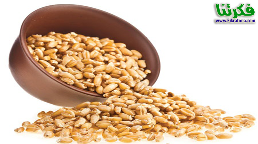 20160713 92 فوائد واضرار جنين القمح - صحة قلبك في قبضة من جنين القمح سعودية صح