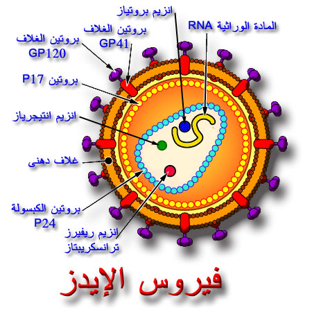 مطوية حول مرض السيدا